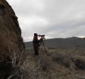 Counting sage-grouse at leks