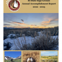 2022-2023 Bi-State Sage-Grouse Annual Accomplishment Report