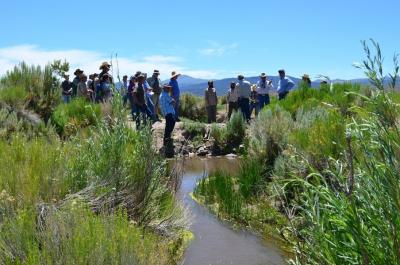 Bi-State Local Area Working Group collaborates with new Nevada state park to balance people and wildlife