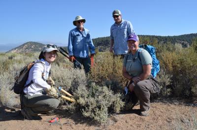 Eastern Sierra Land Trust and BLM collaborate to improve the sage brush ecosystem.